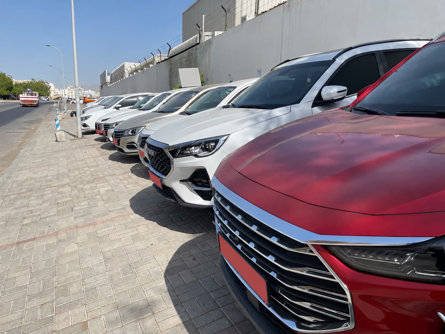 Sarina Cars vehicle collection in Muscat